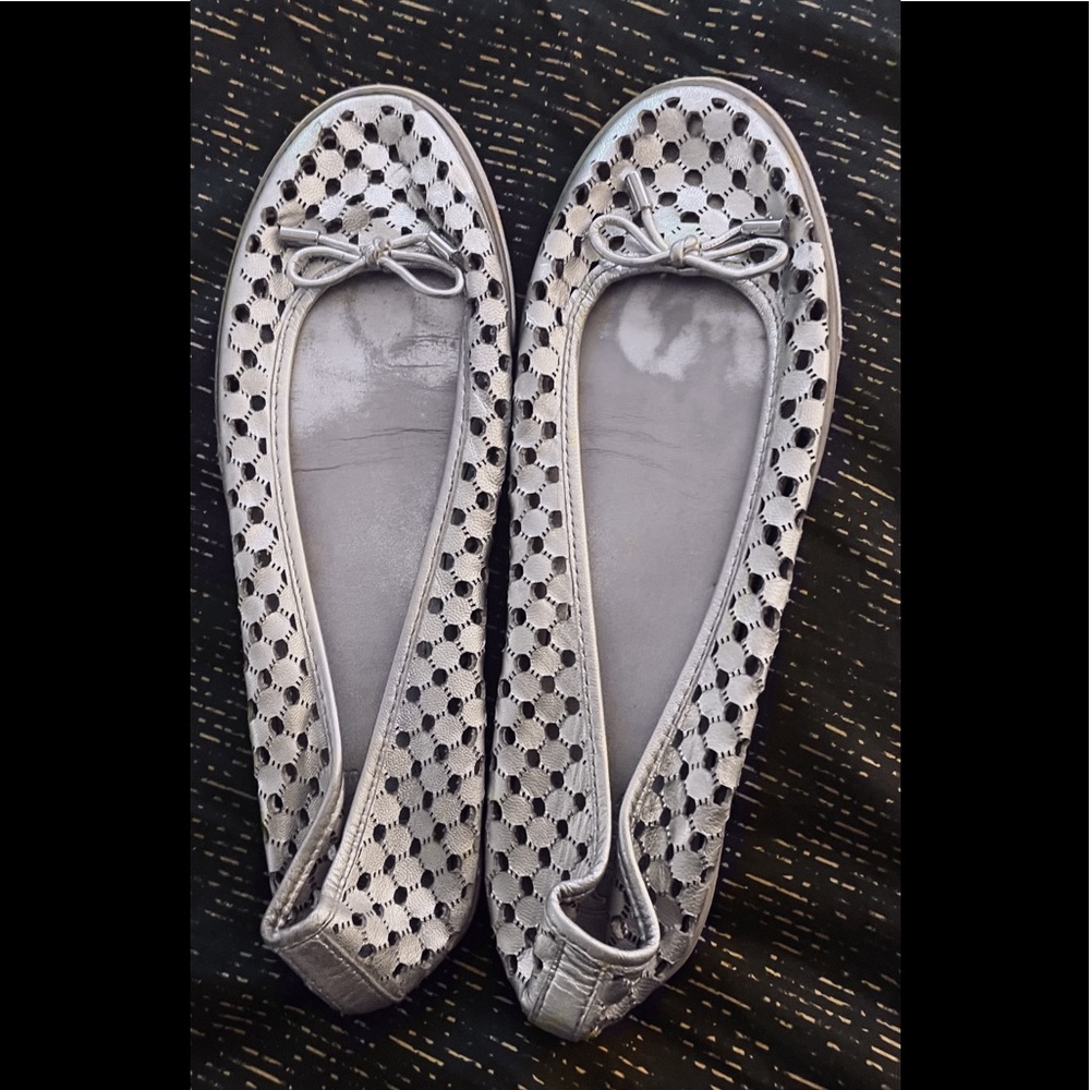 Elegant Silver Ballet Flats